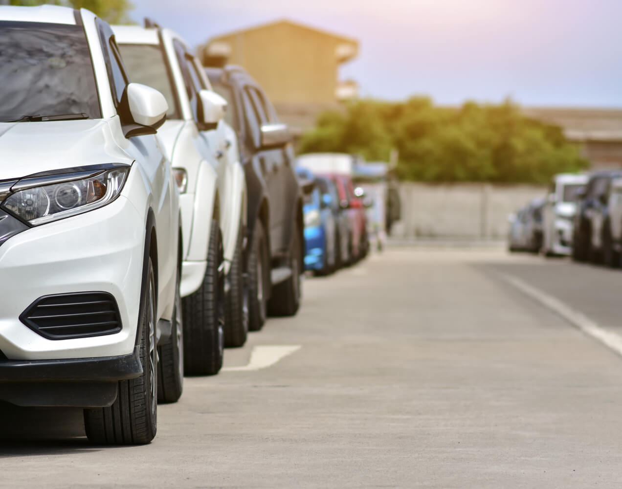 A row of parked cars lines a suburban street in the daytime