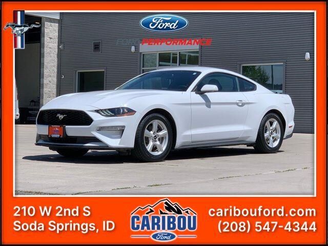 2019 Ford Mustang EcoBoost — photo 1 of 13