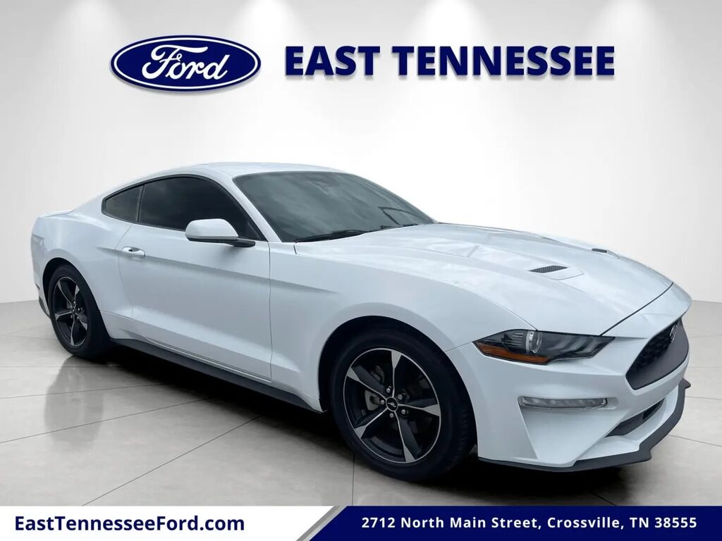 2023 Ford Mustang EcoBoost — photo 1 of 12