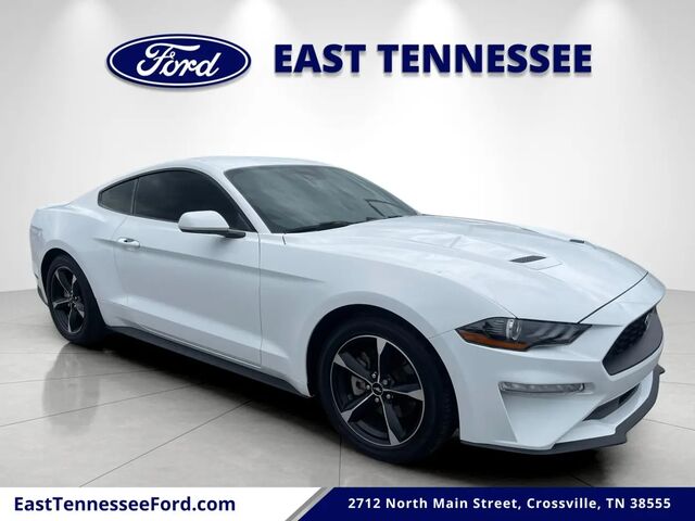 2023 Ford Mustang EcoBoost