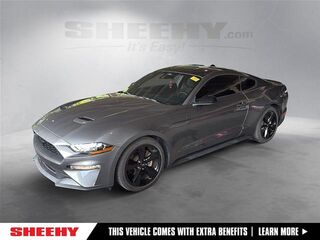 2023 Ford Mustang EcoBoost