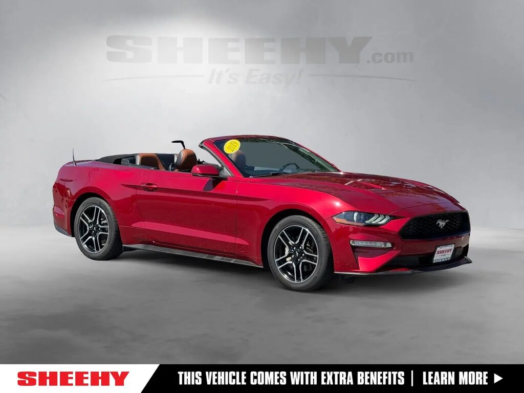 2019 Ford Mustang EcoBoost Premium — photo 1 of 13