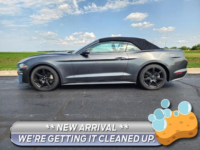 2019 Ford Mustang EcoBoost Premium — photo 1 of 13
