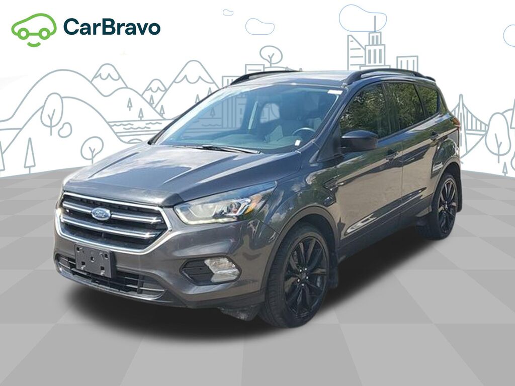 2019 Ford Escape SE — photo 1 of 7