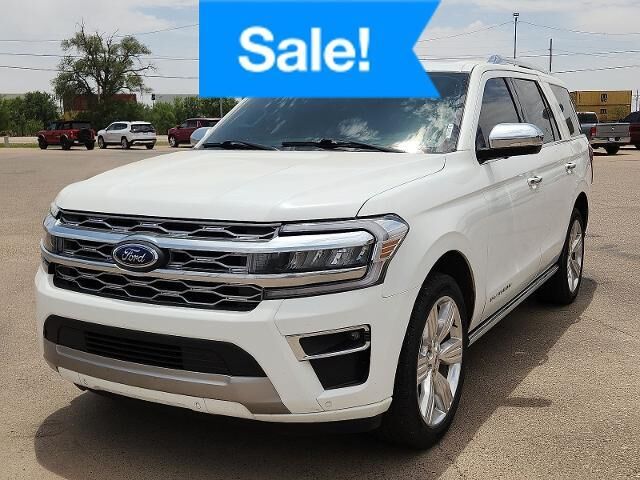 2022 Ford Expedition Platinum — photo 1 of 13