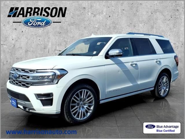 2022 Ford Expedition Platinum — photo 1 of 13