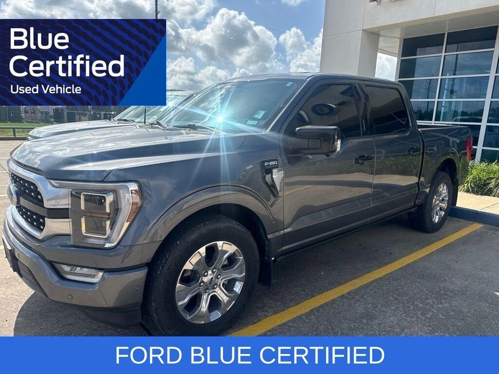 2022 Ford F-150 Platinum — photo 1 of 8
