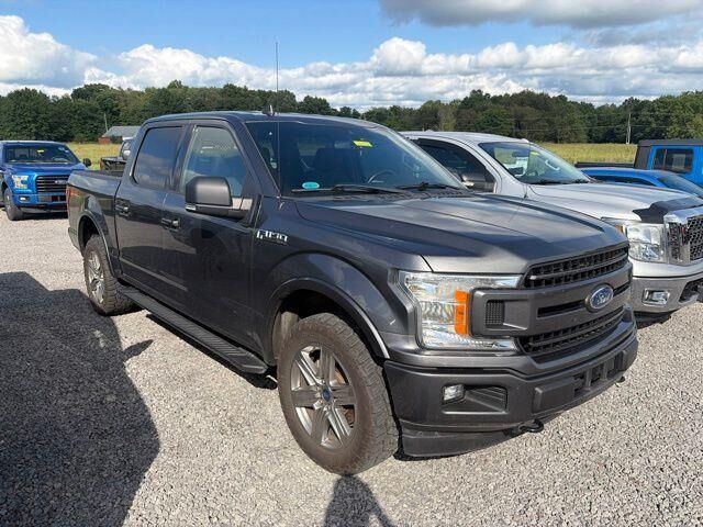 2019 Ford F-150 XLT — photo 1 of 5