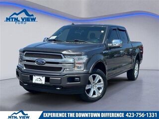 2020 Ford F-150 Platinum