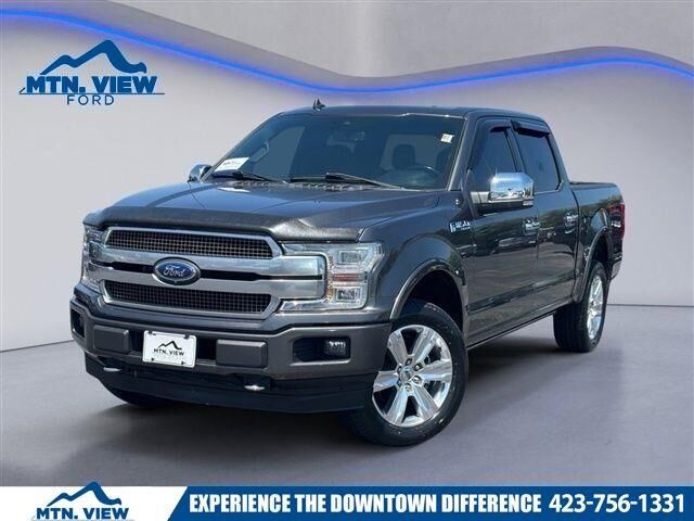 2020 Ford F-150 Platinum