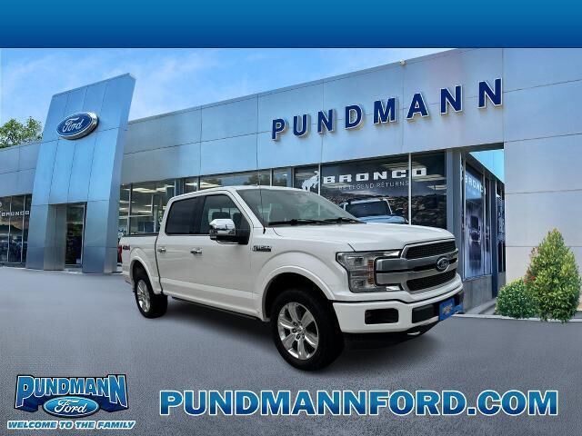 2019 Ford F-150 Platinum — photo 1 of 13