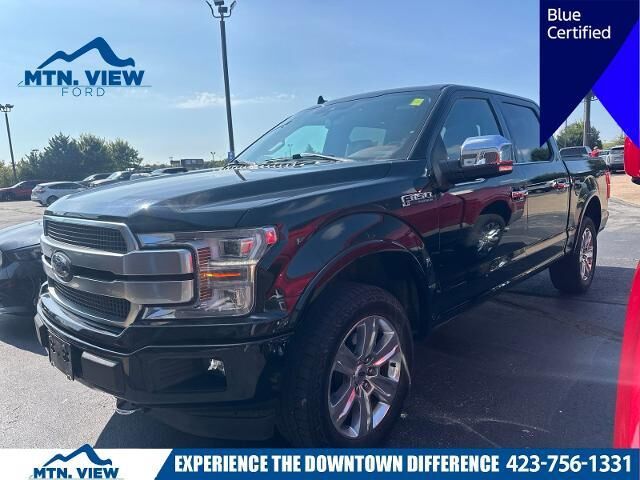 2020 Ford F-150 Platinum — photo 1 of 10