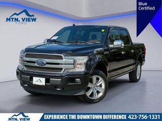 2020 Ford F-150 Platinum