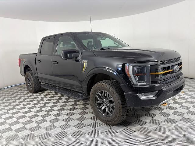 2021 Ford F-150 Tremor — photo 1 of 1