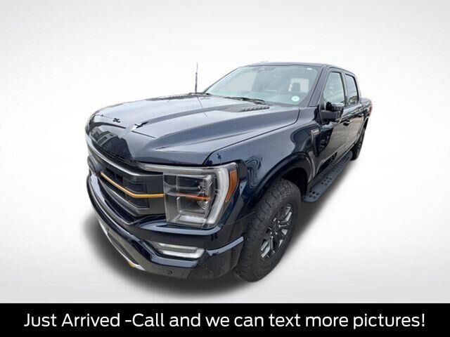 2022 Ford F-150 Tremor — photo 1 of 24