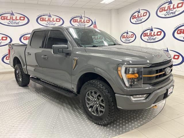 2021 Ford F-150 Tremor