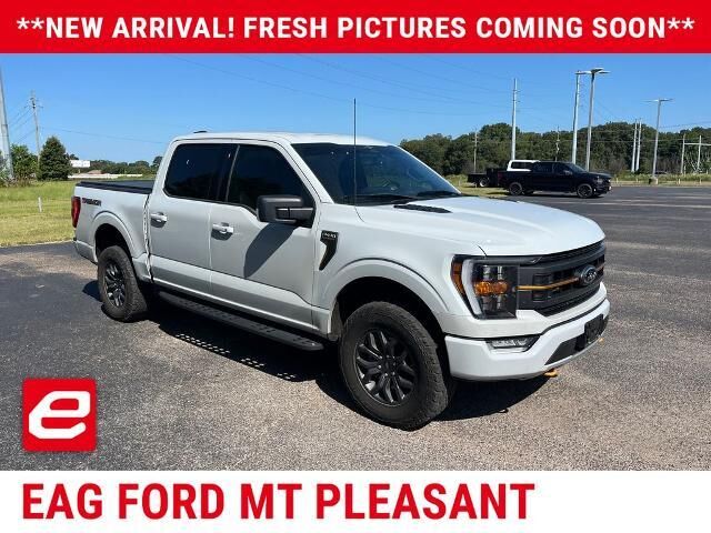 2023 Ford F-150 Tremor — photo 1 of 12