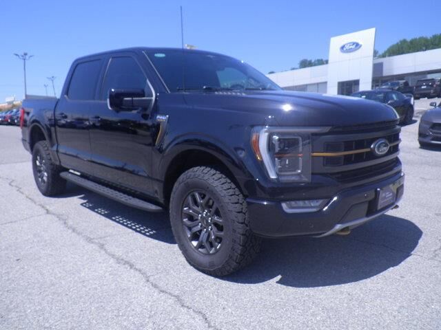 2023 Ford F-150 Tremor — photo 1 of 13