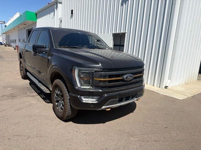 2023 Ford F-150 Tremor — photo 1 of 12