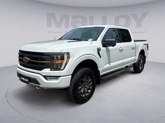 2023 Ford F-150 Tremor — photo 1 of 13