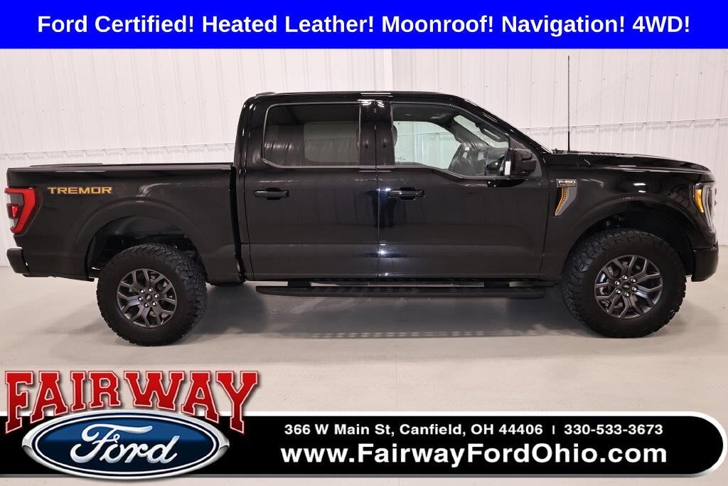 2023 Ford F-150 Tremor — photo 1 of 13