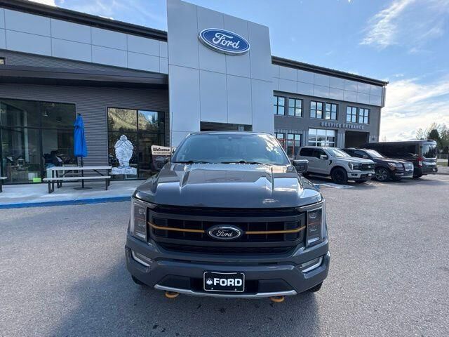 2021 Ford F-150 Tremor — photo 1 of 13