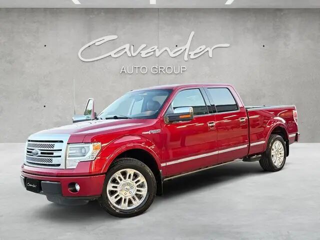 2014 Ford F-150 Platinum — photo 1 of 25