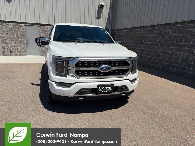 2021 Ford F-150 Platinum — photo 1 of 15