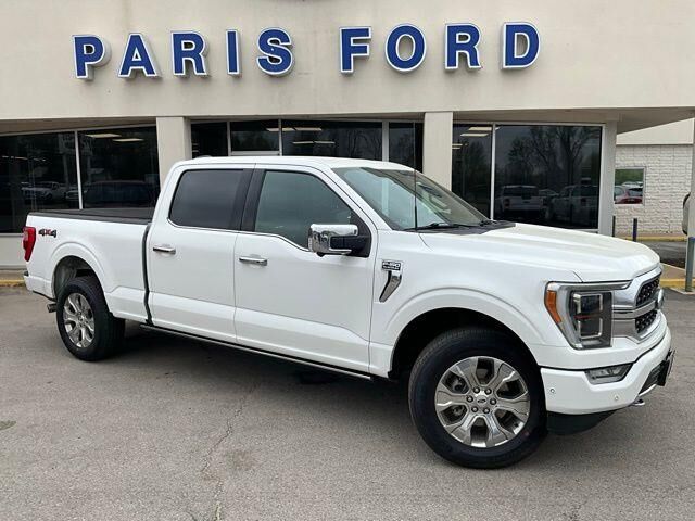 2022 Ford F-150 Platinum — photo 1 of 13