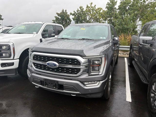 2021 Ford F-150 Platinum — photo 1 of 2