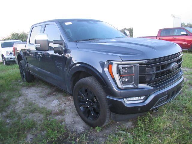 2022 Ford F-150 Platinum — photo 1 of 30