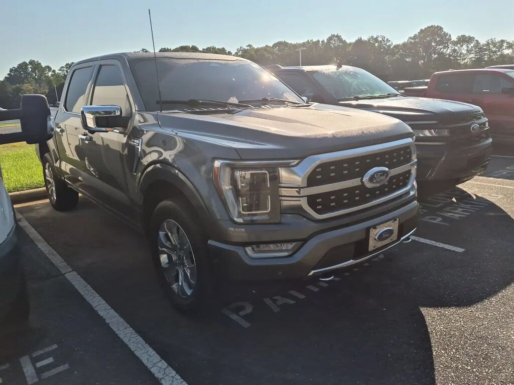 2023 Ford F-150 Platinum — photo 1 of 13
