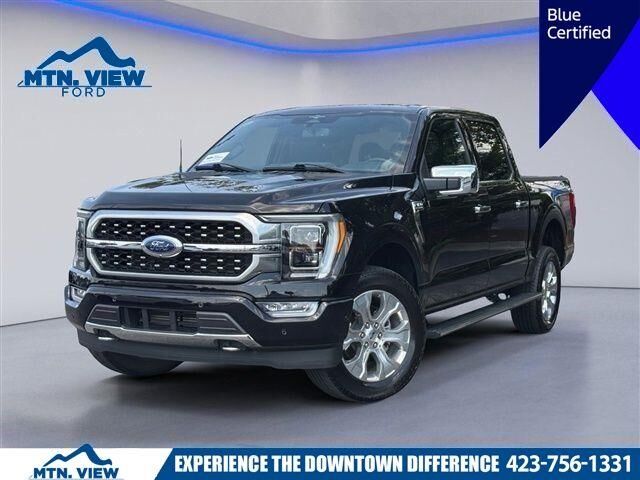 2023 Ford F-150 Platinum