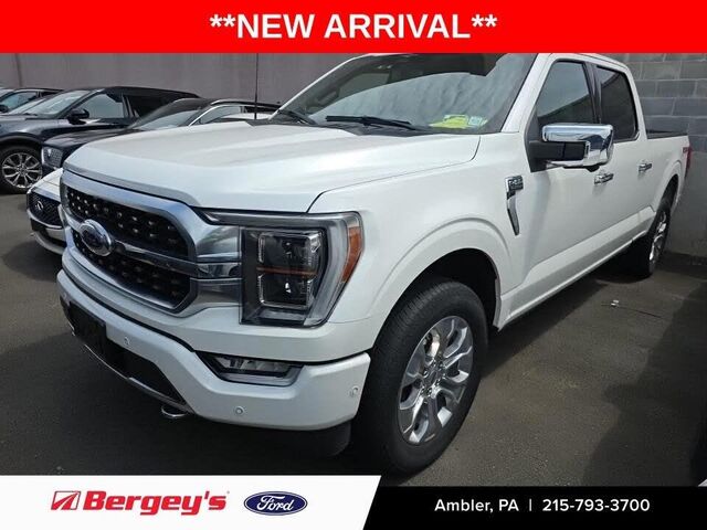 2023 Ford F-150 Platinum — photo 1 of 1