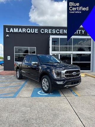 2023 Ford F-150 Platinum — photo 1 of 13