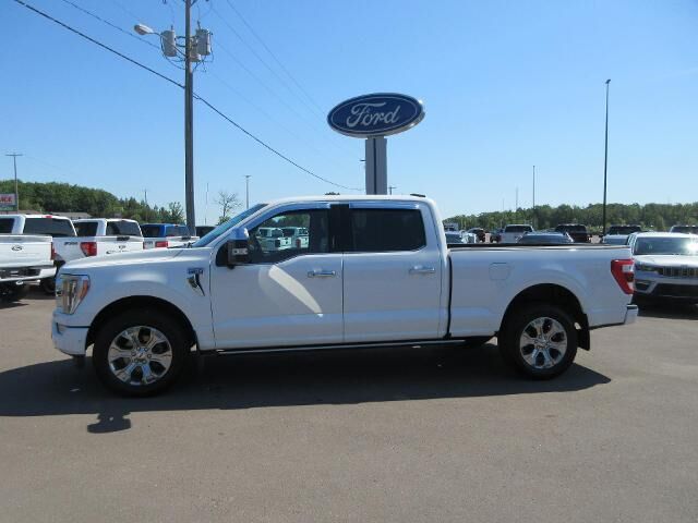 2021 Ford F-150 Platinum — photo 1 of 13