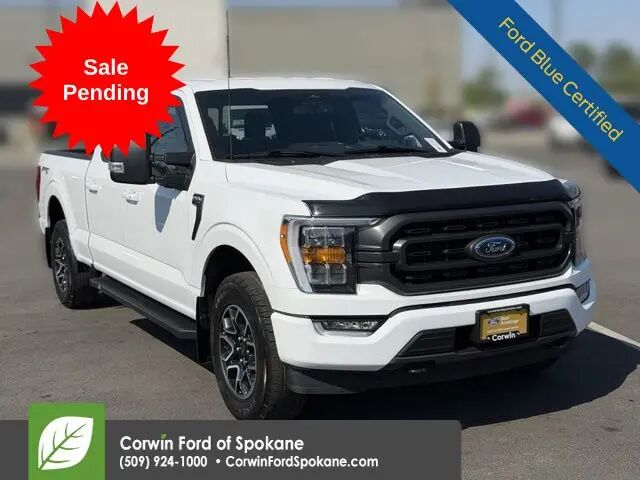 2023 Ford F-150 XLT — photo 1 of 40