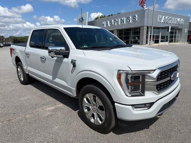 2023 Ford F-150 Platinum — photo 1 of 12