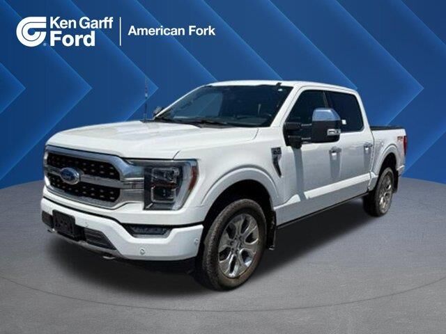 2023 Ford F-150 Platinum — photo 1 of 26