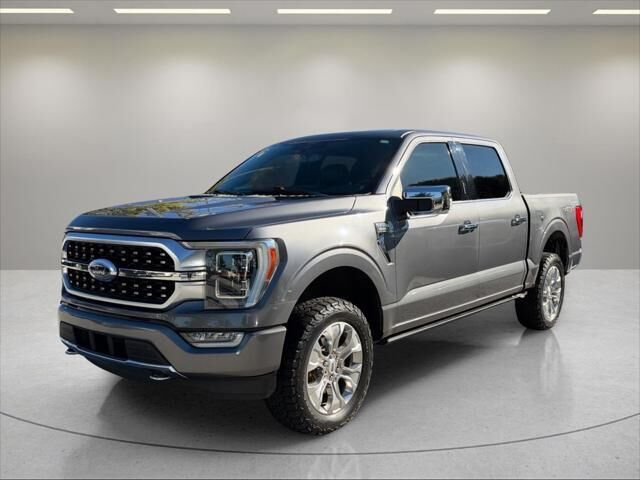 2021 Ford F-150 Platinum — photo 1 of 13