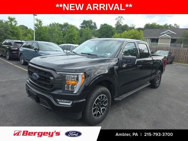 2023 Ford F-150 XLT — photo 1 of 1