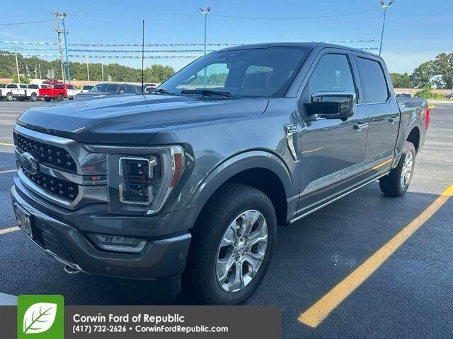 2023 Ford F-150 Platinum — photo 1 of 13