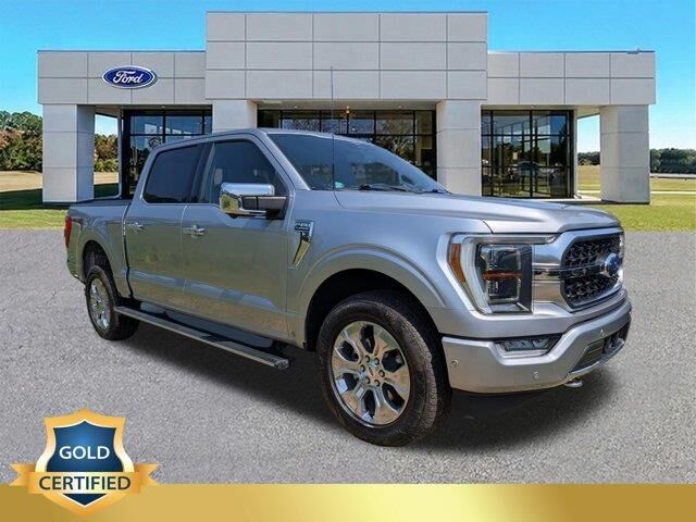 2023 Ford F-150 Platinum — photo 1 of 13