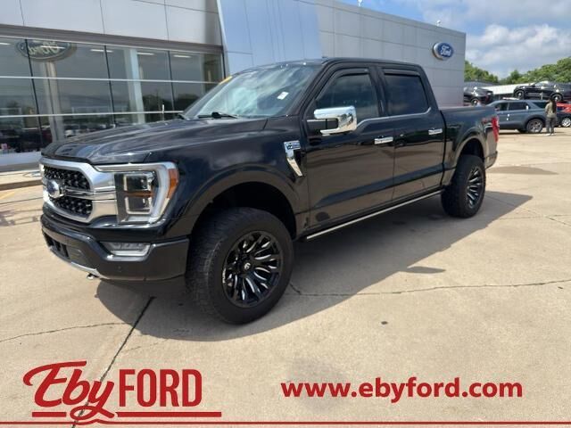 2023 Ford F-150 Platinum — photo 1 of 11
