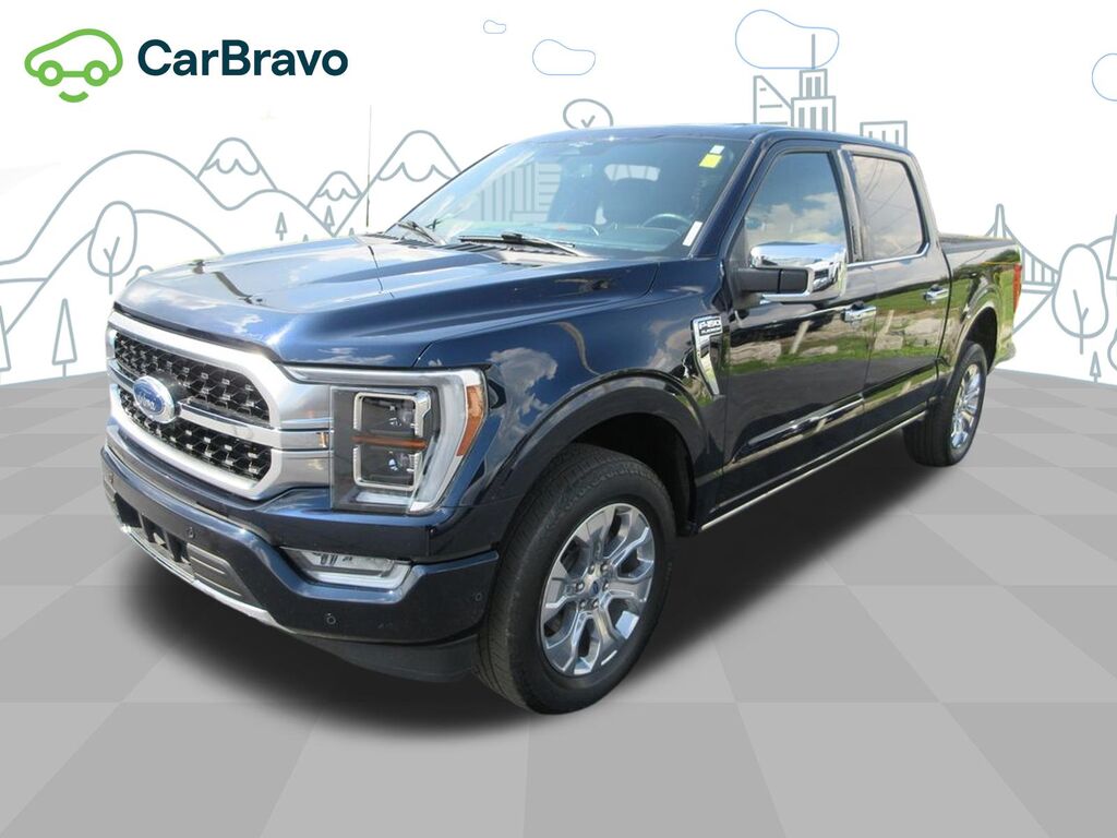 2023 Ford F-150 Platinum — photo 1 of 6