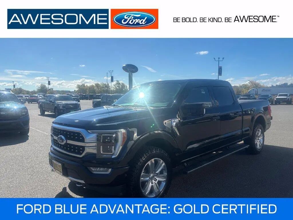 2021 Ford F-150 Platinum — photo 1 of 13