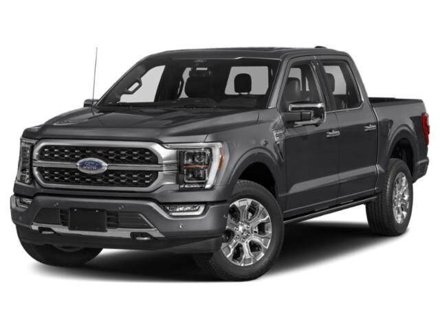 2022 Ford F-150 Platinum — photo 1 of 1