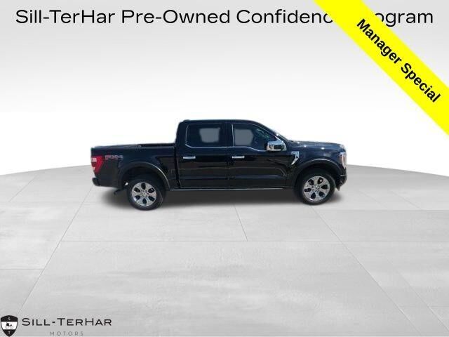 2022 Ford F-150 Platinum — photo 1 of 13