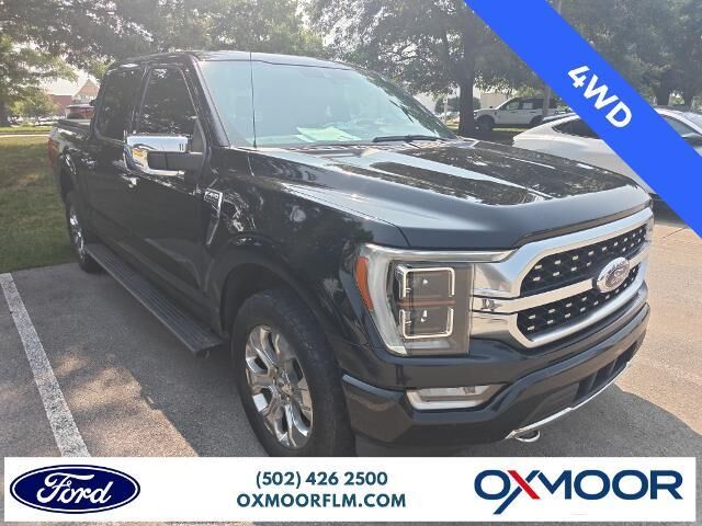 2021 Ford F-150 Platinum — photo 1 of 13