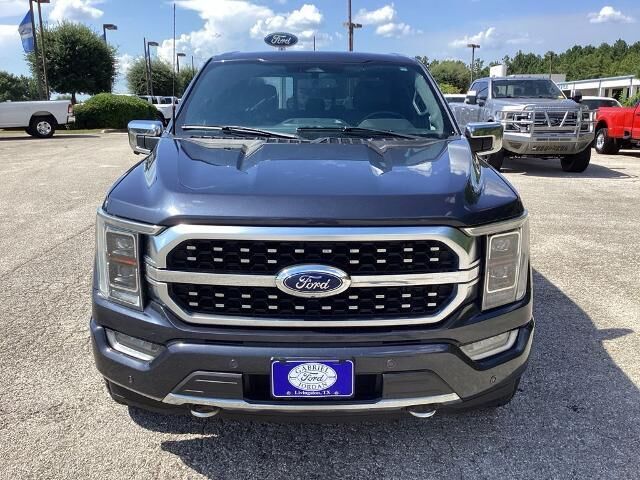 2022 Ford F-150 Platinum — photo 1 of 10